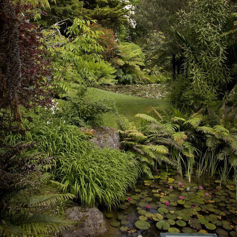 Bed and Breakfast Rapaura Watergardens Tapu Esterno foto