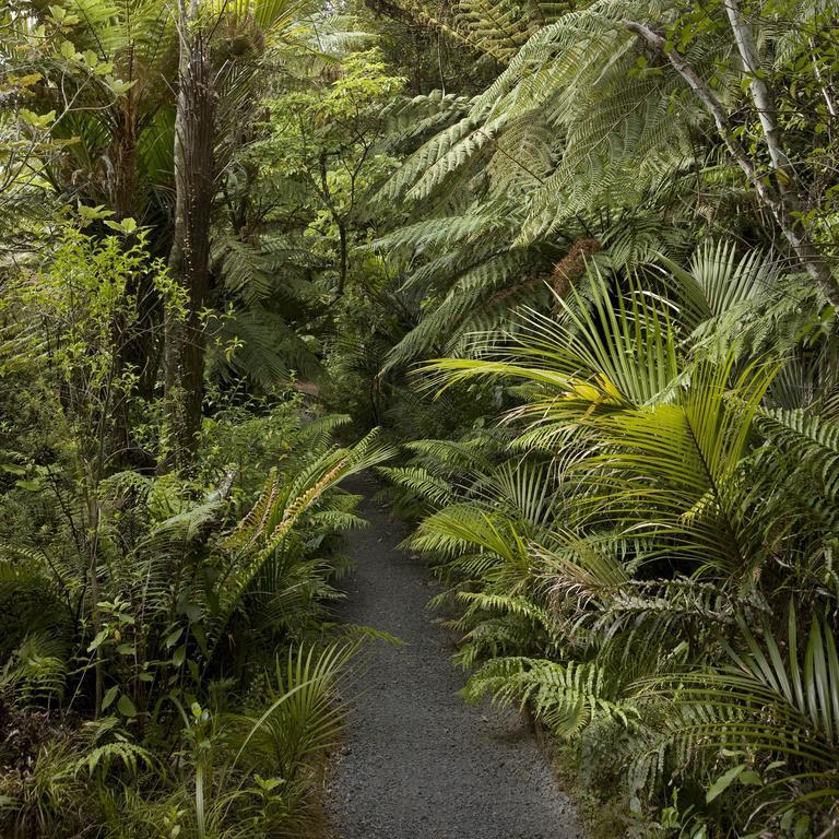 Bed and Breakfast Rapaura Watergardens Tapu Esterno foto