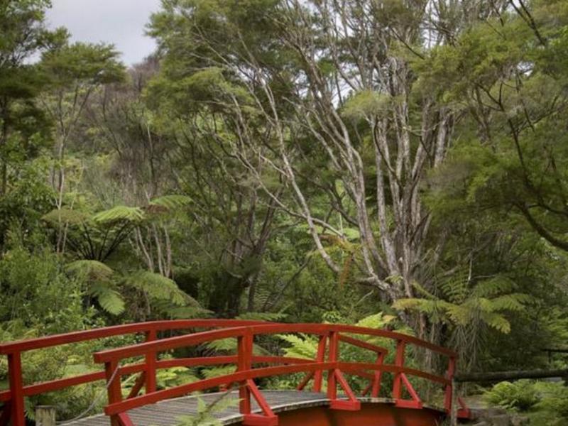 Bed and Breakfast Rapaura Watergardens Tapu Esterno foto