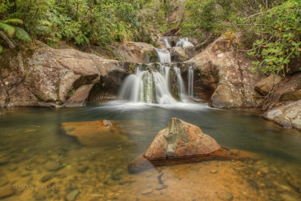 Bed and Breakfast Rapaura Watergardens Tapu Esterno foto